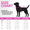 Dog Winter Coat Pink Vest XXS Size Lightweight Reversible Warm Dog Jacket Water Resistant Windproof Jacket Dog Coats for Small Dogs
