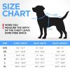 Dog Winter Coat XS Size Blue Lightweight Reversible Warm Dog Jacket Water Resistant Windproof Jacket Dog Coats for Dogs Small Dogs